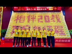 Двадцатый день рождения Ян Чжан Гуя.